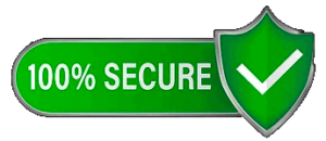 100% Secure Payment System By Gadget Hub1